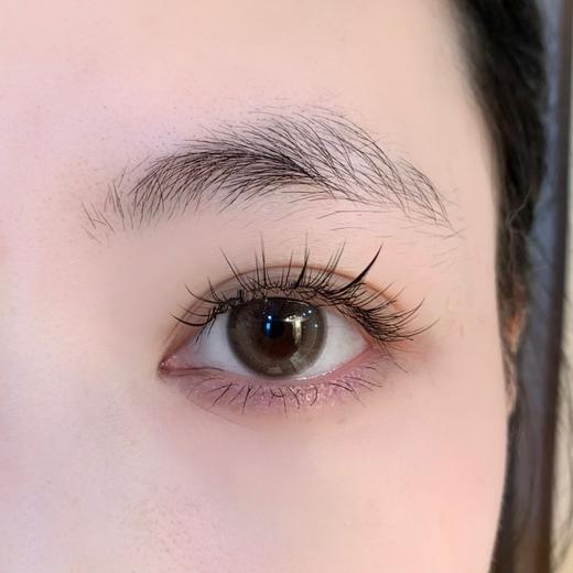 Kaylens日抛新品-波光奶咖10p/盒 商品图2