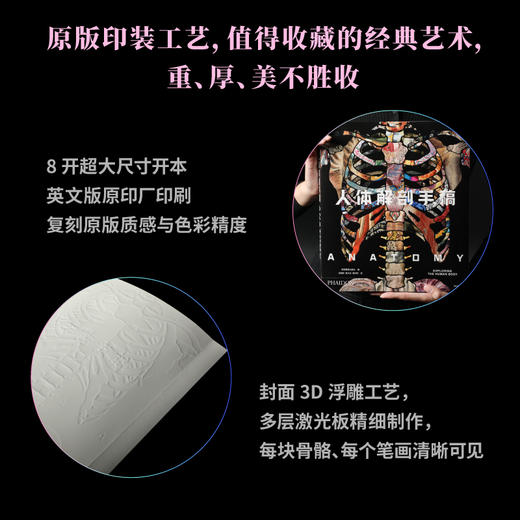 人体解剖手稿  商品图1