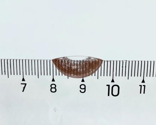 AgensColor大直径品牌-生椰拿铁巧 商品图2