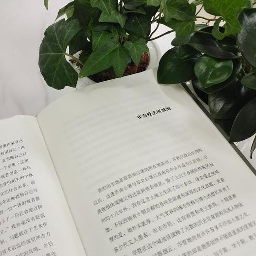 玄思窗外风景（光启文库） 商品图6
