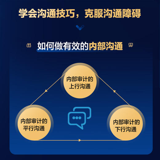 内部审计思维与沟通：发现审计问题、克服沟通障碍、实现审计价值 审计实务经验内部审计价值财务分析财务报表审计实务 商品图3