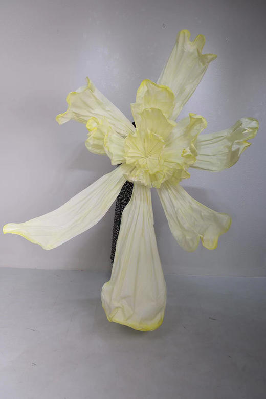 化蝶（运费自理） 商品图7