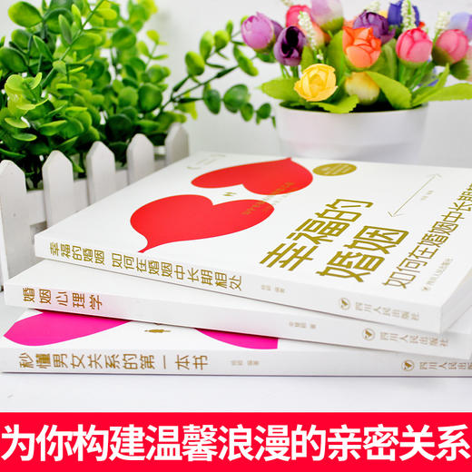 全3册 幸福的婚姻 秒懂男女关系的第一本书 如何让你爱人爱上你正版 如何让你爱的人爱你原版夫妻相处书籍 经营秘密男人 商品图1
