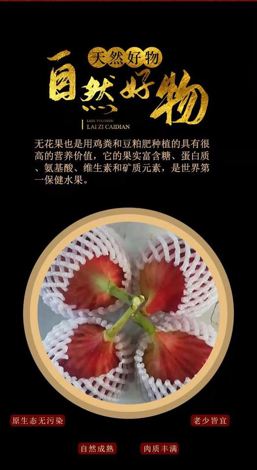 HG无花果干500克（仅限湖北省内） 商品图7