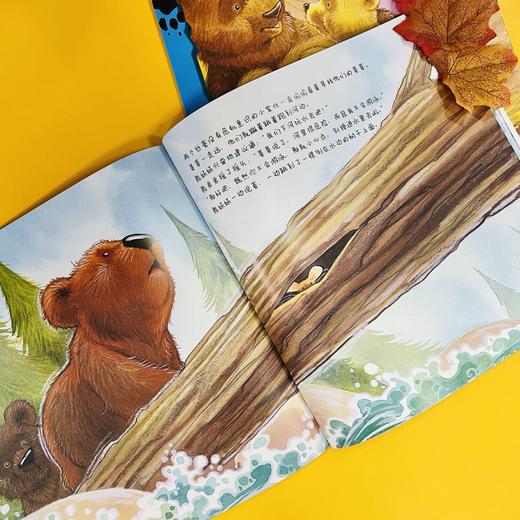 【连岳专享】《小熊绘本(全4册)》解决二胎、父亲缺位、祖孙辈相处等热点家庭教育问题的生动示范教材！ 商品图8
