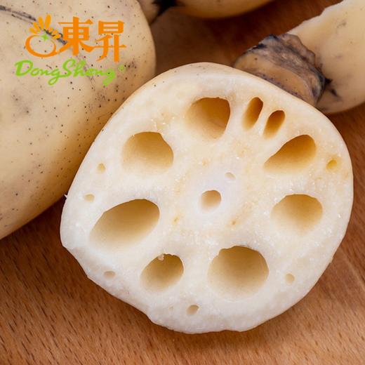 东升农场 新垦莲藕 新鲜时令食材 4斤 包邮 商品图4
