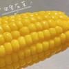 田里有草 甜糯玉米🌽 商品缩略图1