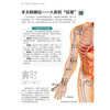 常用穴位对症按摩一学就会 商品缩略图6