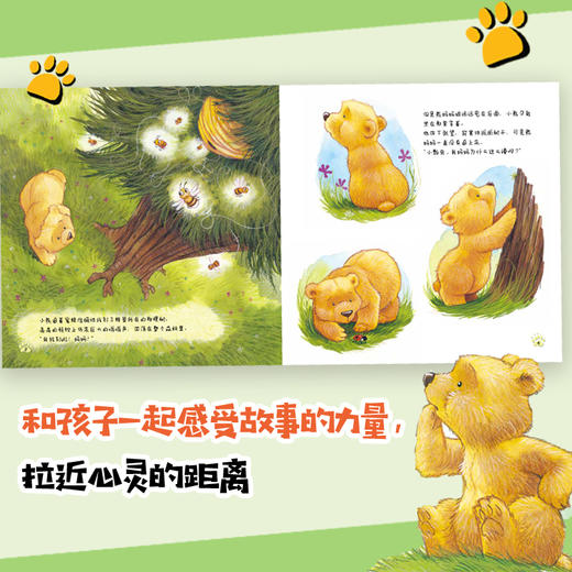 【连岳专享】《小熊绘本(全4册)》解决二胎、父亲缺位、祖孙辈相处等热点家庭教育问题的生动示范教材！ 商品图2