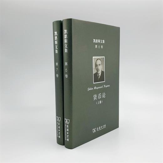 凯恩斯文集 第6-7卷：货币论(上下卷) 商品图3