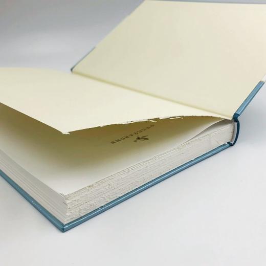 中国学案史(毛边本)(中华当代学术著作辑要) 商品图3