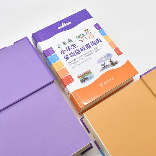 商务馆小学生多功能成语词典（彩图本） 商品图6