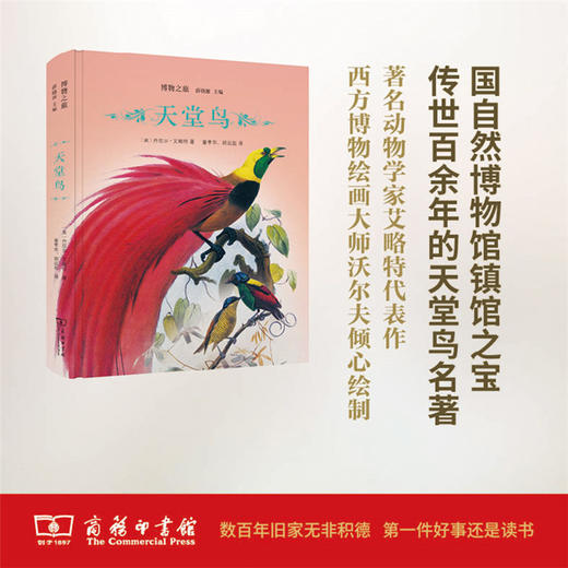 天堂鸟(博物之旅) 【美】丹尼尔·艾略特 商务印书馆 商品图0