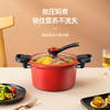 【龙的 汤锅微压不粘炖汤锅】低压力煲汤锅燃气电陶炉通用LD-TM530  真空微压 精铁打造 一体成型 多种炉灶 安全泄压 商品缩略图0