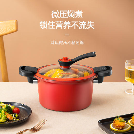 【龙的 汤锅微压不粘炖汤锅】低压力煲汤锅燃气电陶炉通用LD-TM530  真空微压 精铁打造 一体成型 多种炉灶 安全泄压 商品图0