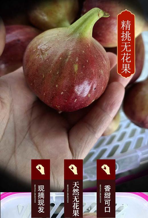 HG无花果干500克（仅限湖北省内） 商品图2