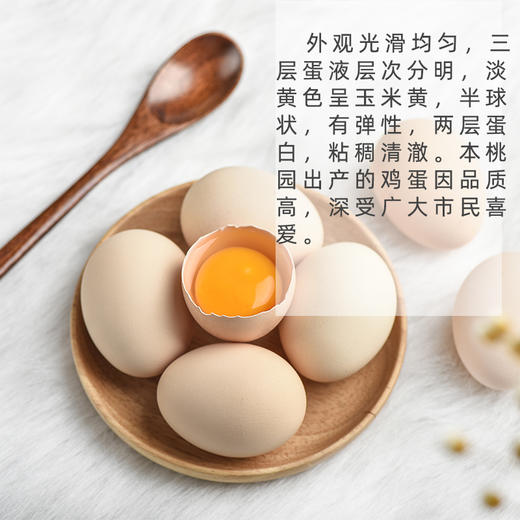 HG土鸡蛋（仅限湖北省内） 商品图2