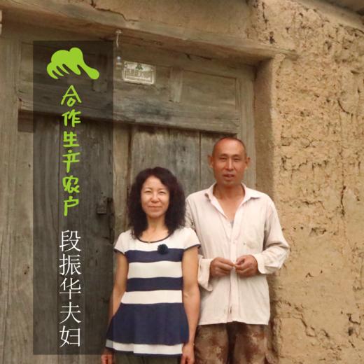 生态巴梨  | 合作生产*Ecological Bartlett | Coproducted 商品图2