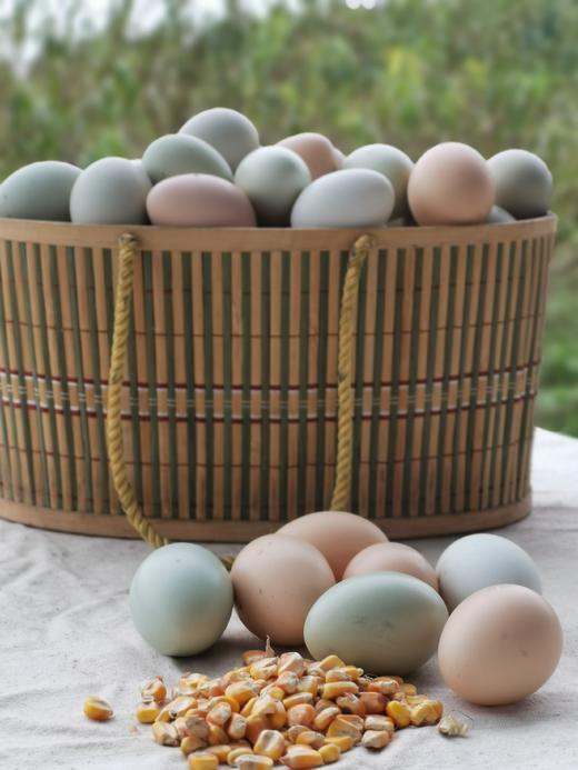 HG土鸡蛋（仅限湖北省内） 商品图8