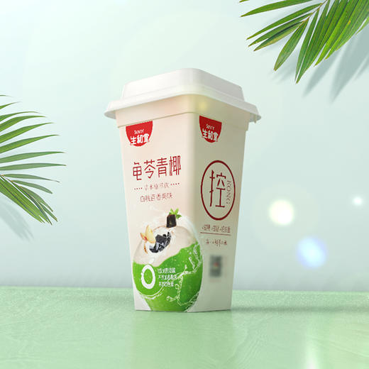 生和堂龟苓青椰白桃百香果味390g(T) 商品图3