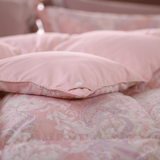 维纳斯可水洗鹅绒春秋被 商品图2