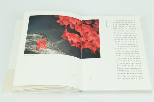 (仓发) 古色之美（八大色系七十余种传统美色， 一本读懂古人的文化生活，审美情趣）【浦睿文化出品】/湖南人民出版社/青简/9787556122721 商品图6