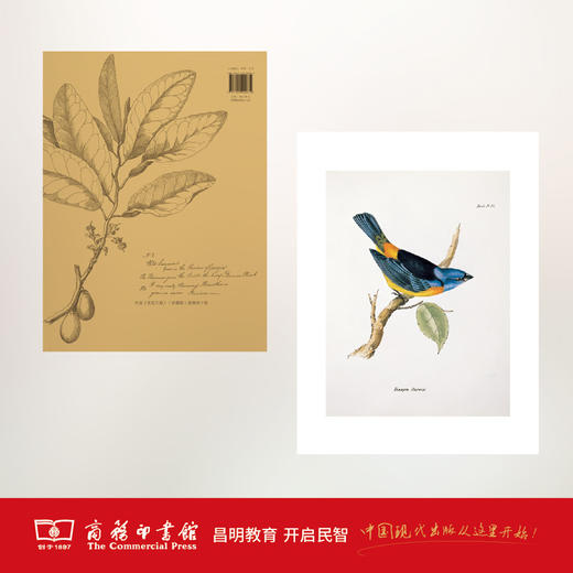 发现之旅（珍藏版） 商务印书馆 商品图3