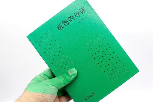 植物的身体（北大植物书系） 商品图4