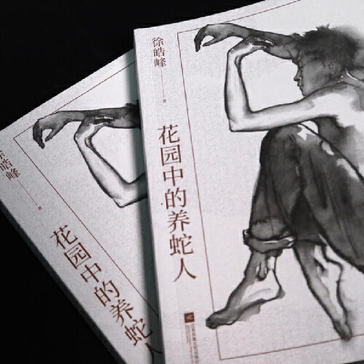 花园中的养蛇人（徐皓峰中短篇小说集，文学天赋初显之作，黑色幽默和天马行空的想象力交相辉映） 商品图1