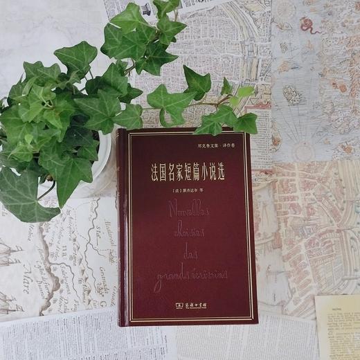 法国名家短篇小说选（名家名著•郑克鲁文集•译作卷） 商品图2