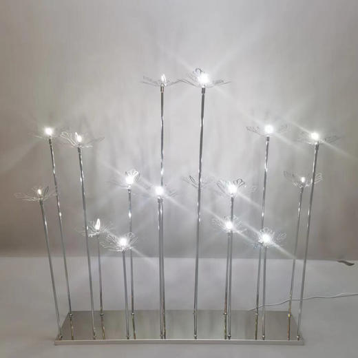 18头铁树开花路引（运费自理） 商品图0