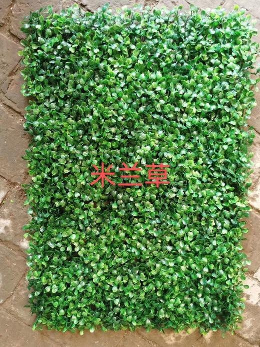 装饰绿植 商品图2