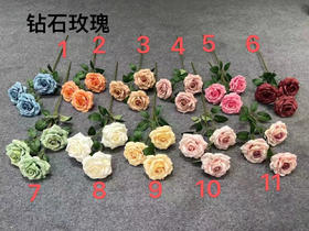 钻石玫瑰（运费自理）