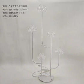 5头亚克力花球路引（运费自理）