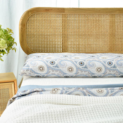 佩斯利系列荞麦壳长枕头夫妻双人一体枕 商品图1