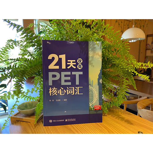 21天攻克PET核心词汇 商品图4