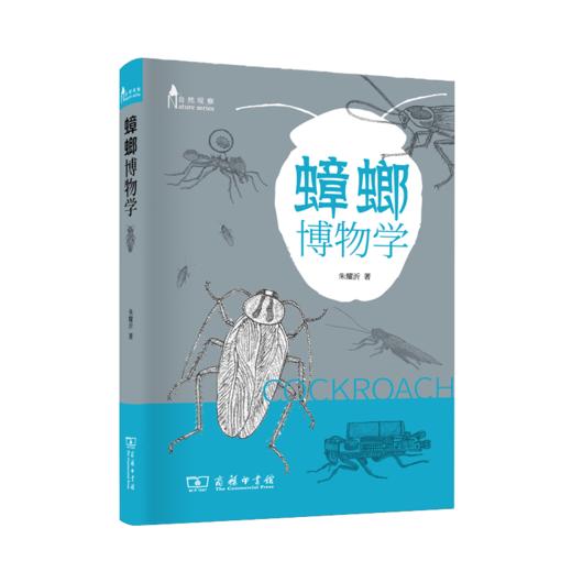 蟑螂博物学（自然观察丛书） 商品图0