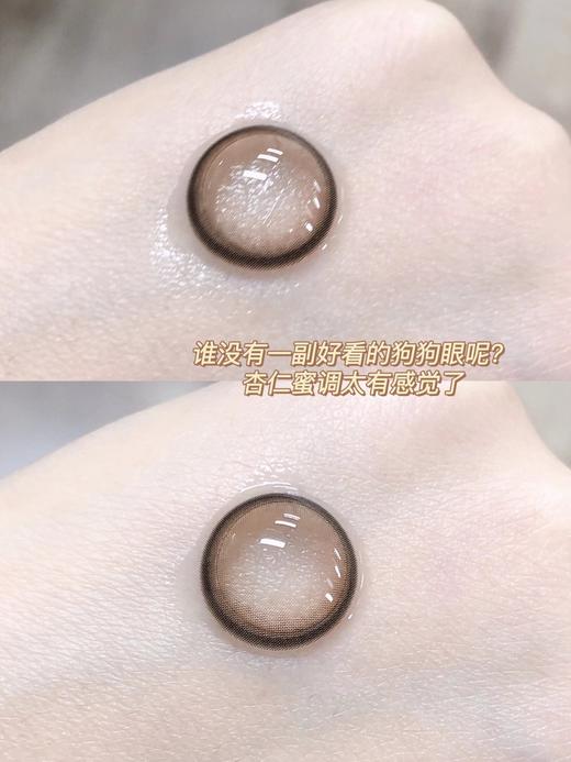 （年抛）TICCMAY 琥珀泪 14.2mm 着色13.5mm 商品图6