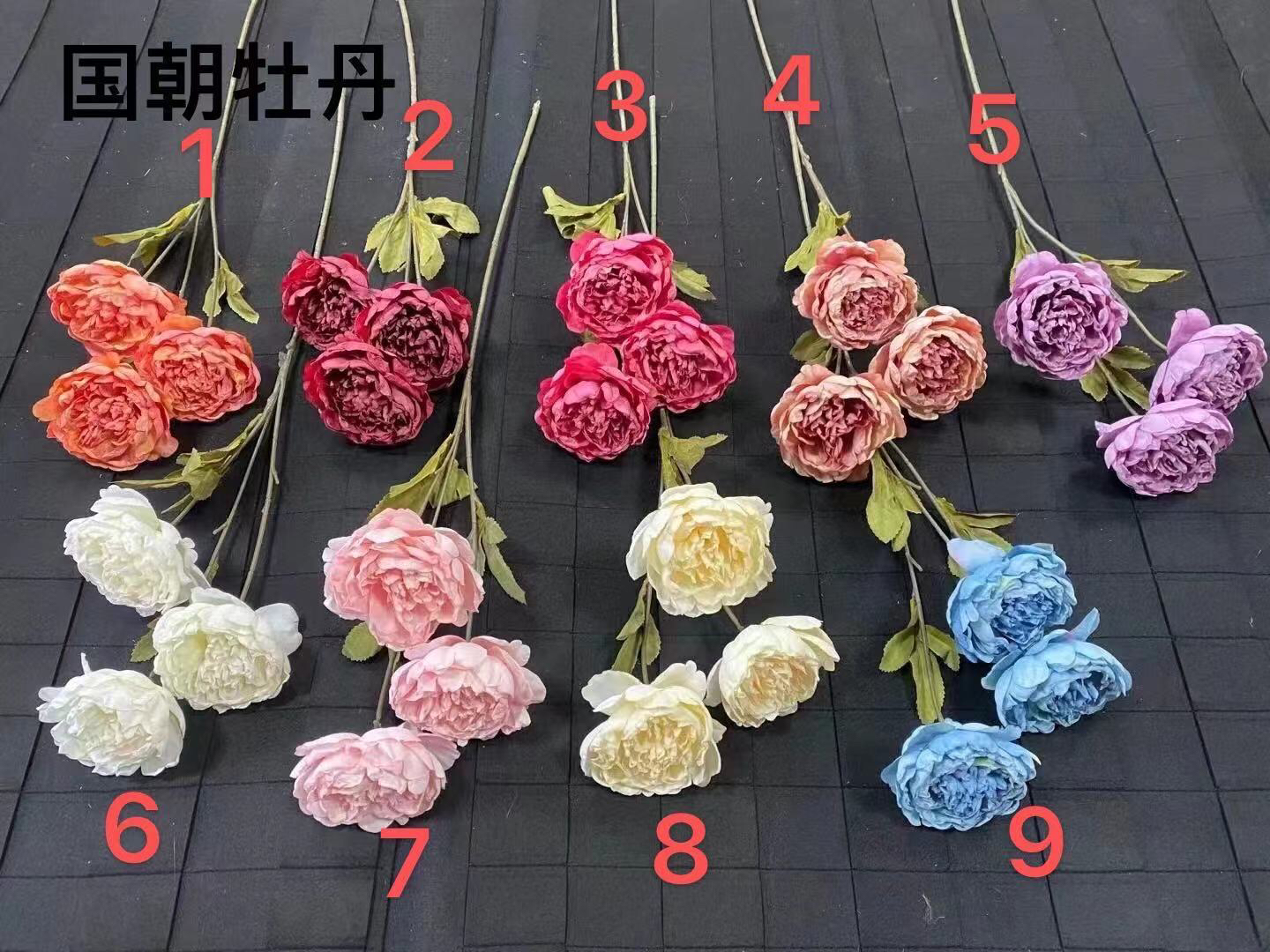 国朝牡丹（运费自理）