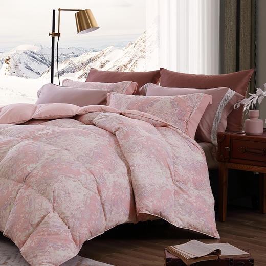 维纳斯可水洗鹅绒春秋被 商品图1