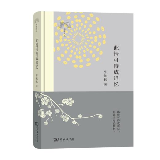 此情可待成追忆	张抗抗 著 商品图0