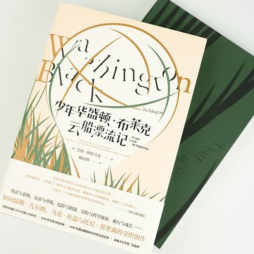 (仓发) 少年华盛顿·布莱克云船漂流记/中信出版集团/艾西·伊杜吉安/9787521731248 商品图1