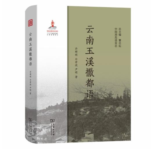 云南玉溪撒都语（中国濒危语言志） 商品图0