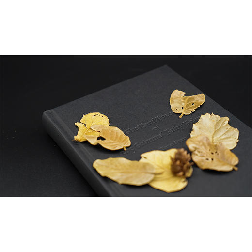 嘘！格林童话，门后的秘密 —— 写给大人看的书//守望者 商品图4