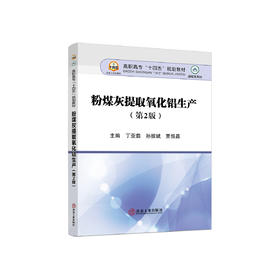 粉煤灰提取氧化铝生产（第2版）/丁亚茹，孙振斌，贾恒昌主编