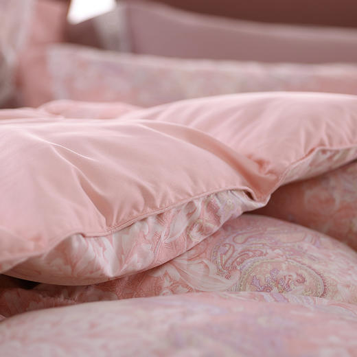 维纳斯可水洗鹅绒春秋被 商品图3