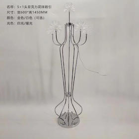 5+1亚克力花球路引（运费自理）