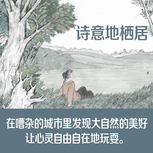 皮箱里的森林 商品图4