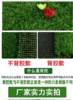 无胶绿植草坪2.5米 商品缩略图3