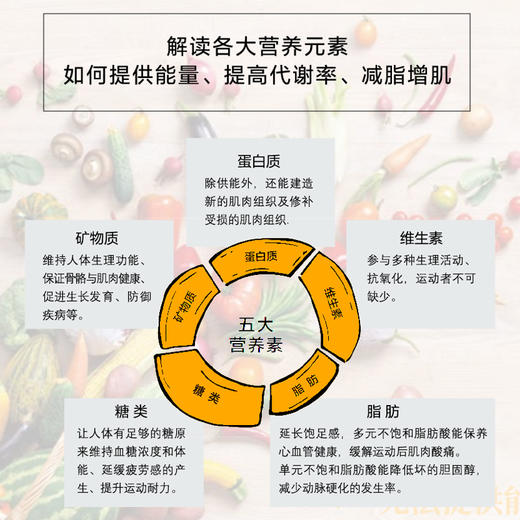 营养师的运动饮食笔记 商品图3